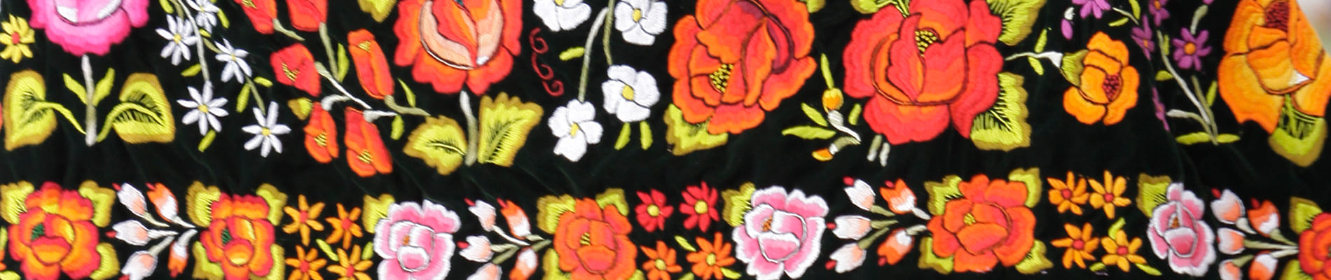 oaxaca header 2