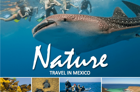 Nature Travel in Mexico