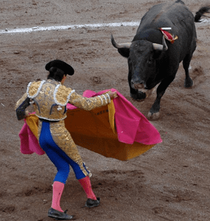 Bullfight at San Marcos Fair