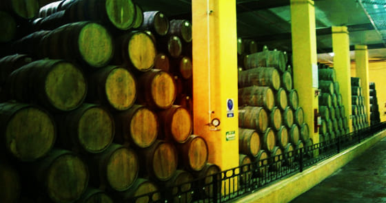 tequila barrels