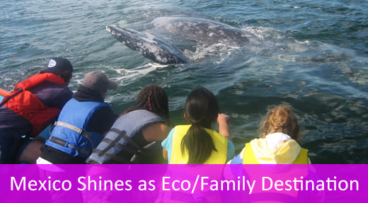 mexico-eco-family-destination students whale watching