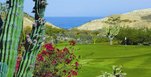 one-and-only-palmilla-golf-resort