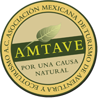 amtave