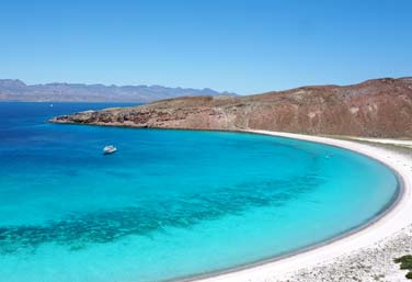 whale watching in baja california