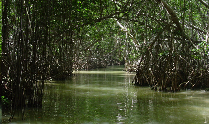 celestun yucatan ocv