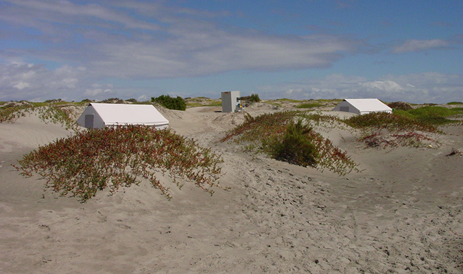 Baja Camp Magdalena Bay