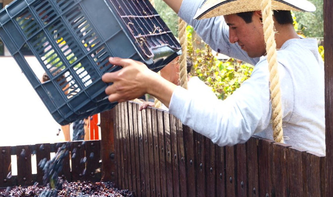 queretaro bodegas cote 2