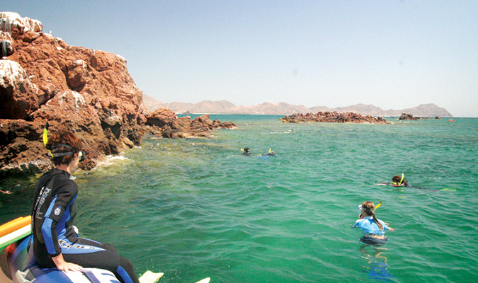 Baja Activities Snorkelling