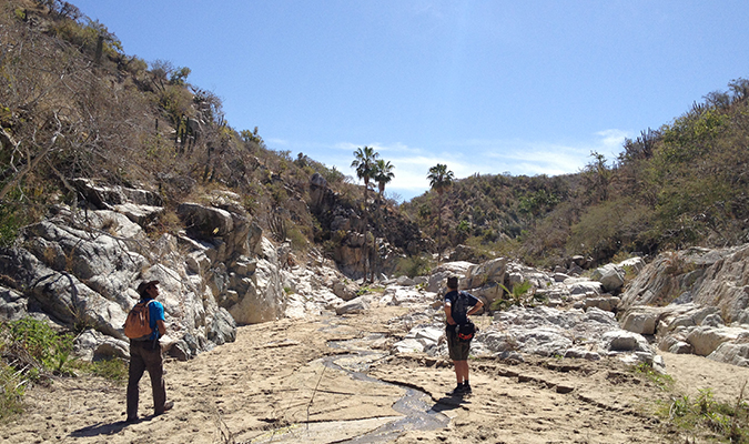 Baja Todos Santos Hike