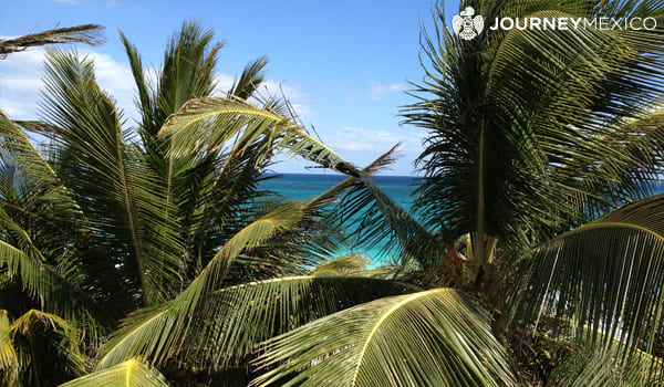 Scenery in Tulum 