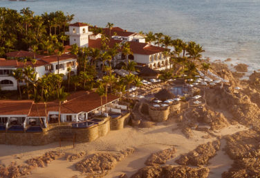 O&O Palmilla