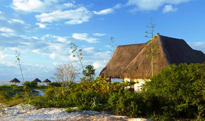 Celestun Biosphere Tranquility Tulum