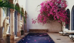 Boutique hotel in Puerto Vallarta