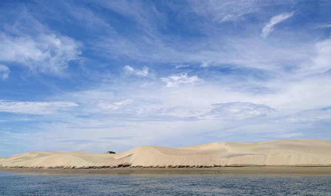 Baja Magdalena Bay