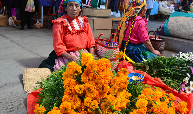 Culture Oaxaca Market Lady