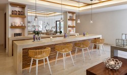 one only palmilla new 7