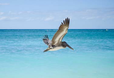 Yucatan Ecotour