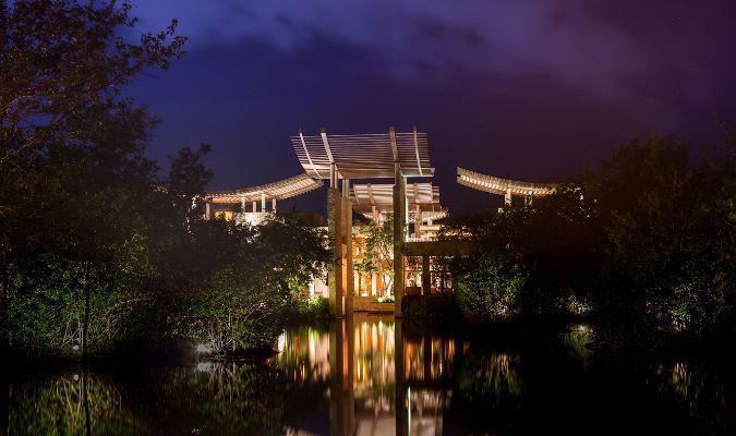 Banyan Tee Mayakoba