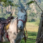 Comala Colima hotel luxury