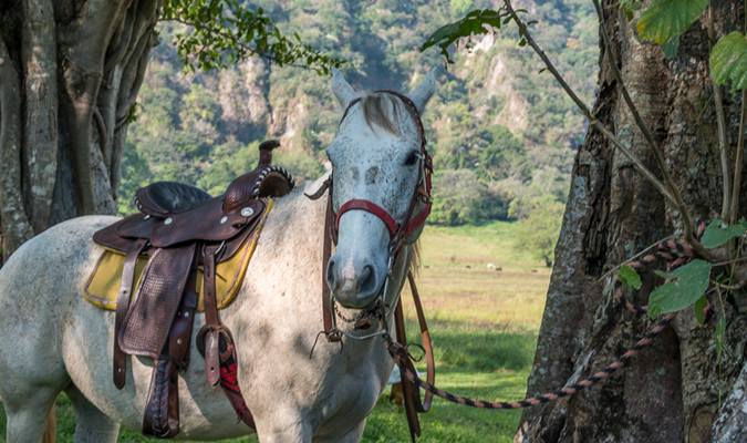 Comala Colima hotel luxury