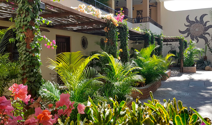 posada de las flores la paz patio