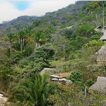 Beach yoga retreat in Mexico