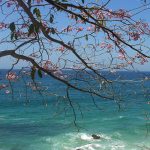 Xinalani Retreat Puerto Vallarta | Journey Mexico