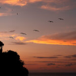 banyan tree cabo marques sunset