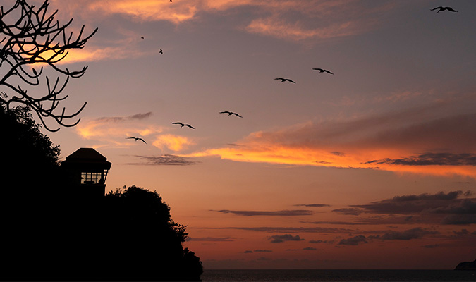 banyan tree cabo marques sunset