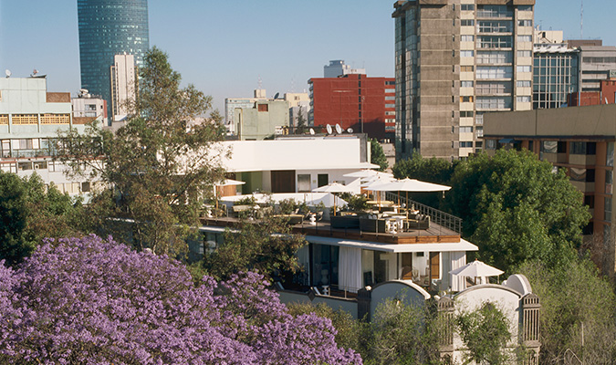 condesa df roof top