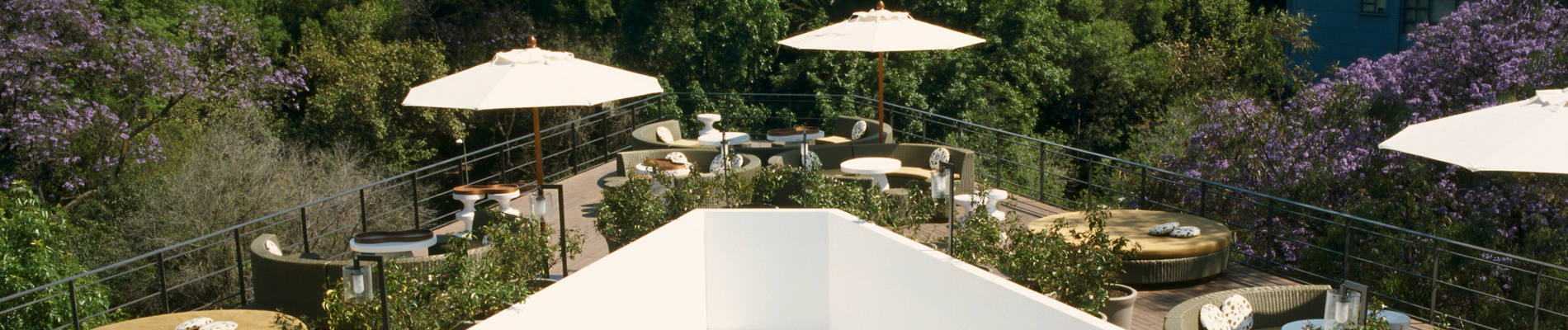Hotel Condesa Df Mexico City Journey
