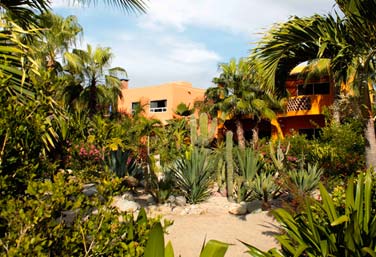 Todos Santos boutique hotel