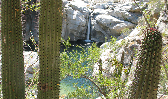 Baja Sierra Laguna Nature