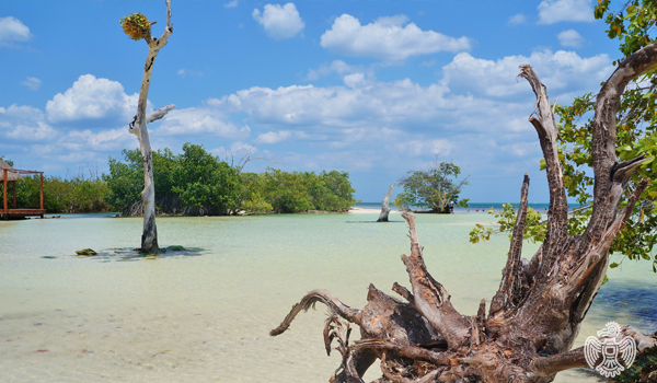 tres-rios-mangrove-beach