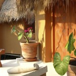 Private Residence Yucatan