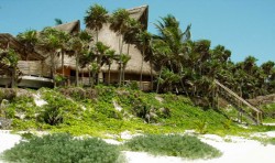Private Villa near Tulum