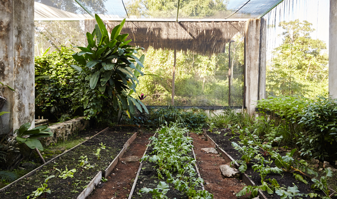 Boutique hotel in Coba   Journey Mexico