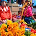 Day of the Dead cempasuchils in Oaxaca