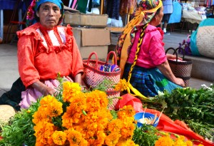 Day of the Dead cempasuchils in Oaxaca