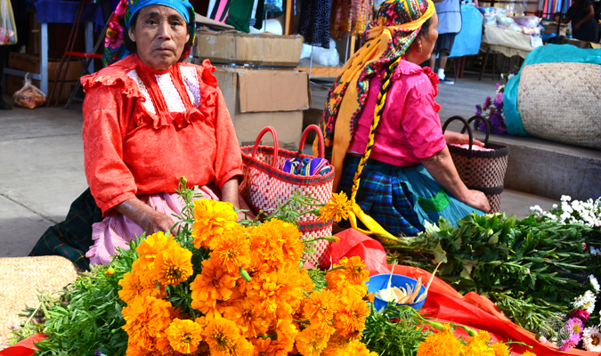 Day of the Dead cempasuchils in Oaxaca