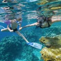 riviera maya snorkel