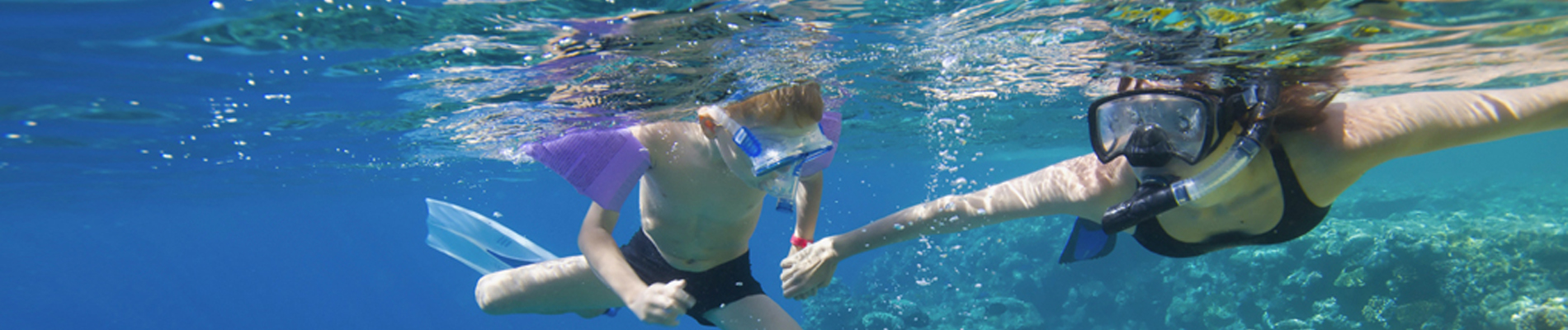 riviera maya snorkel