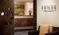 Spa in San Miguel Allende