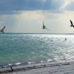 Paradise found in Isla Holbox   © Journey Mexico