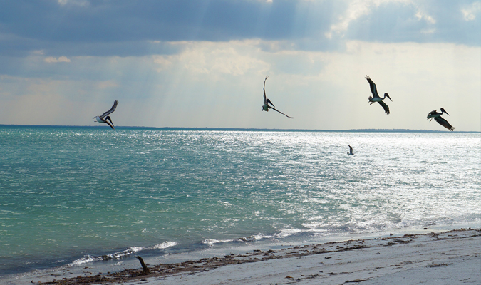 Paradise found in Isla Holbox   © Journey Mexico