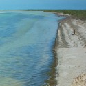 isla holbox header