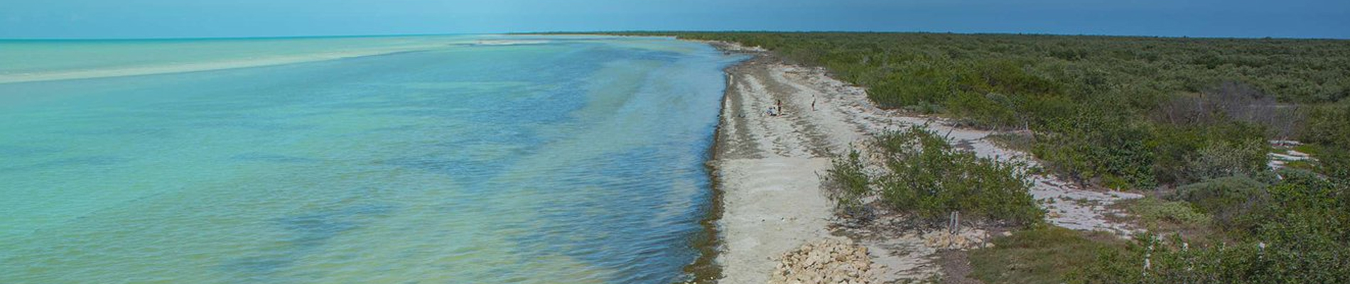 isla holbox header