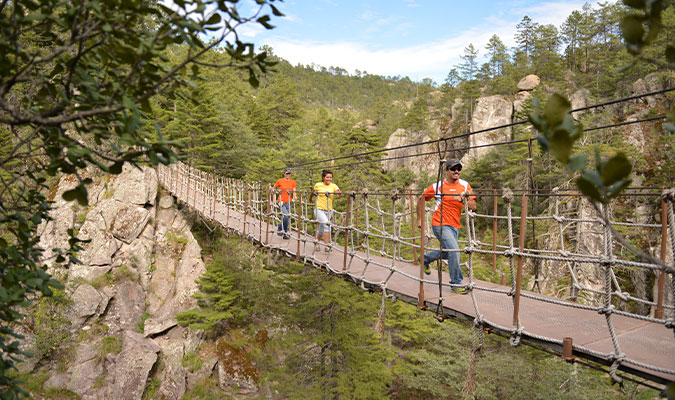 Copper Canyon basaseach