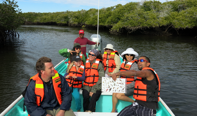 Wildlife Encounters in Baja California Sur   RED/Journey Mexico