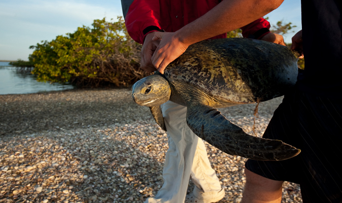 Wildlife Encounters in Baja California Sur - RED/Journey Mexico